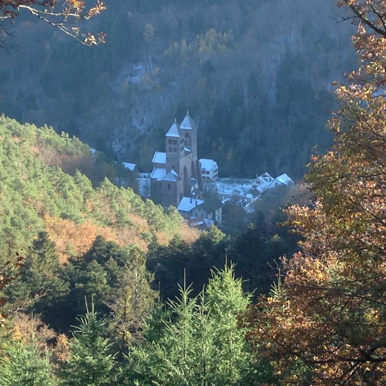 Le Saint Barnabe&Spa - near Guebwiller Buhl Extérieur photo